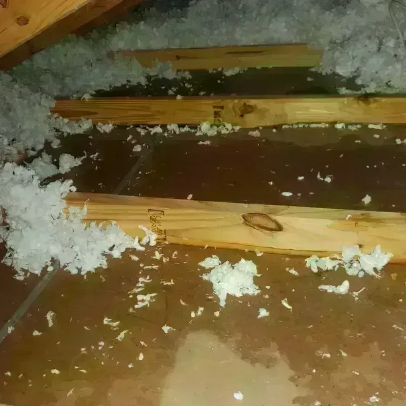 Attic Water Damage in Rosebud, SD