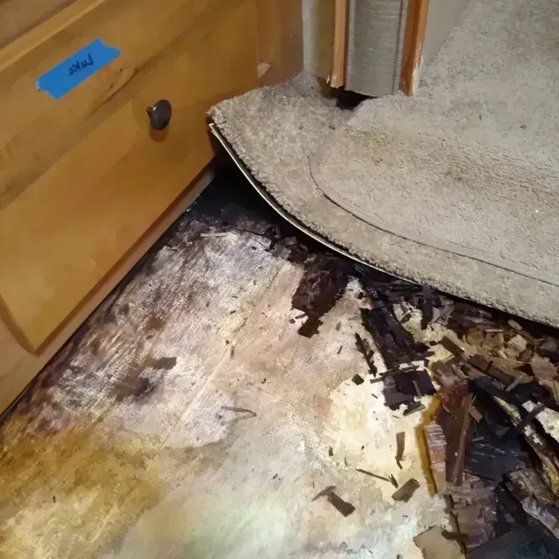 Wood Floor Water Damage in Rosebud, SD